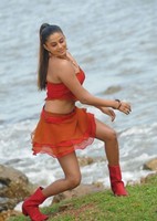 Priyamani Hot Pics